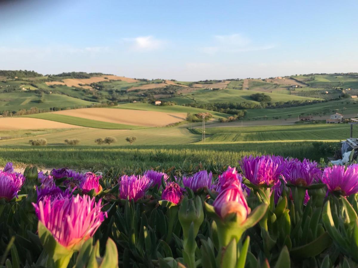 Bed and Breakfast La Trave Montecosaro  Esterno foto