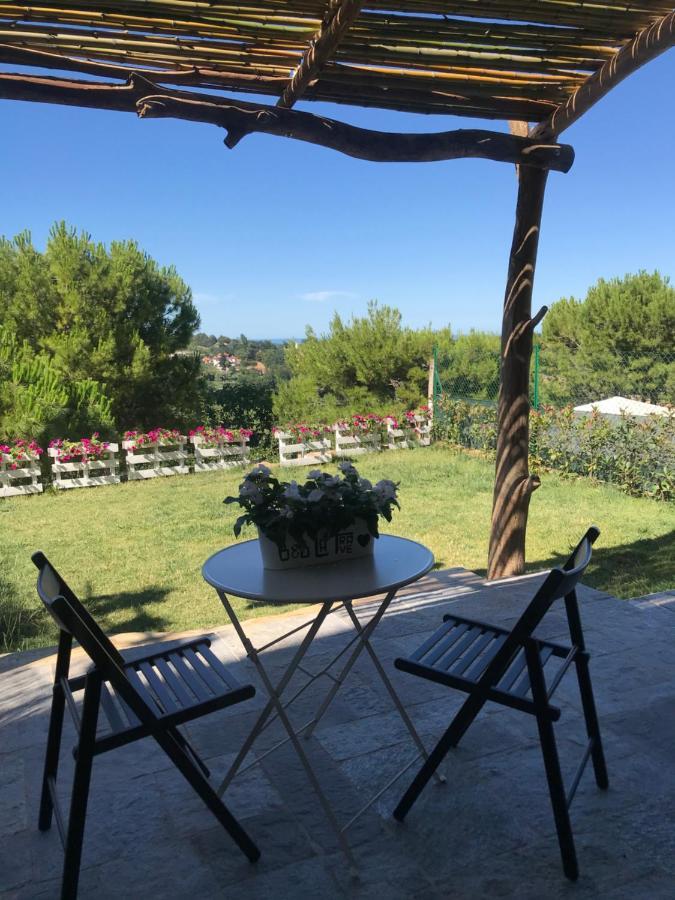 Bed and Breakfast La Trave Montecosaro  Esterno foto