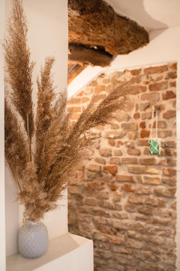 Bed and Breakfast La Trave Montecosaro  Esterno foto